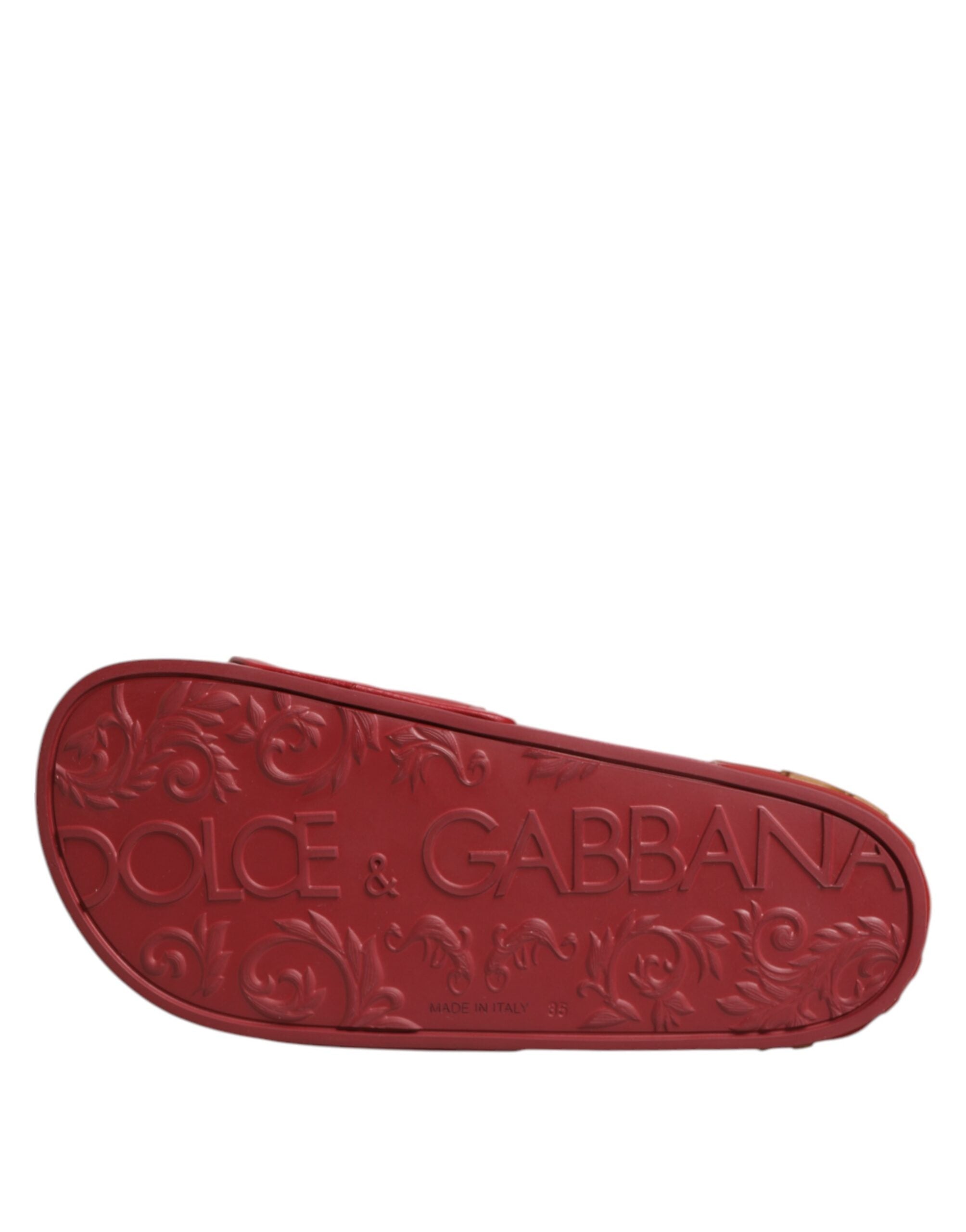 Dolce & Gabbana